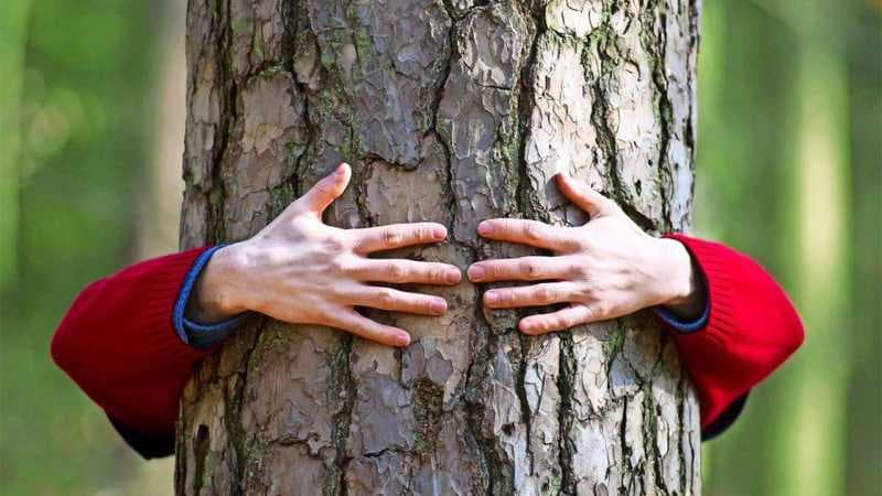 Doğa ve İnsan İlişkisi Hakkında