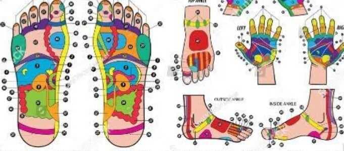 Refleksoloji Nedir?