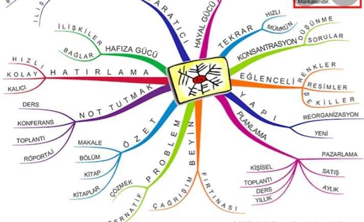 Zihin Haritası İle Beynimize Yolculuk