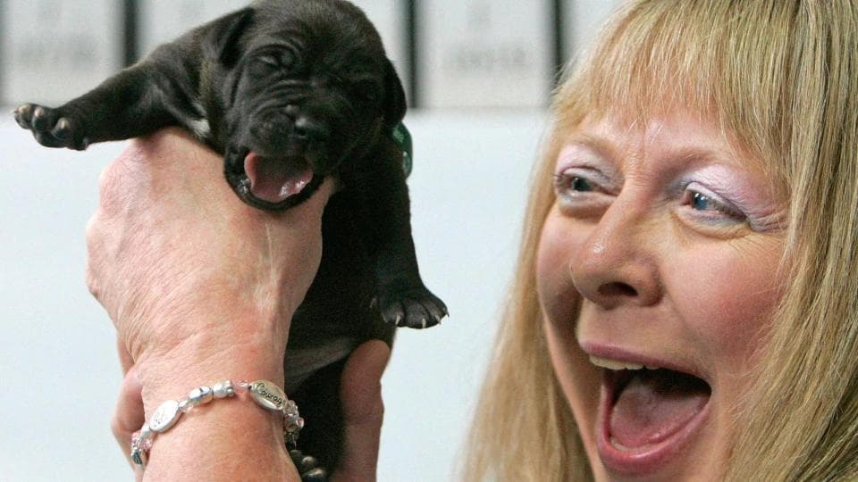 Evcil Hayvanlarını Klonlayan İnsanlar