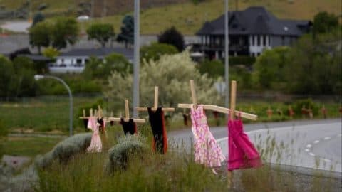 Kanada'da Turuncu Boykot