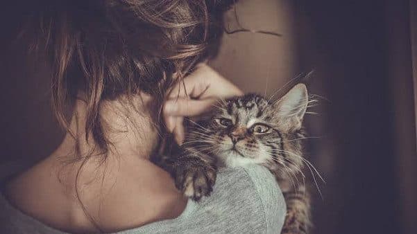 Kediler sevgilerini gösterir mi?