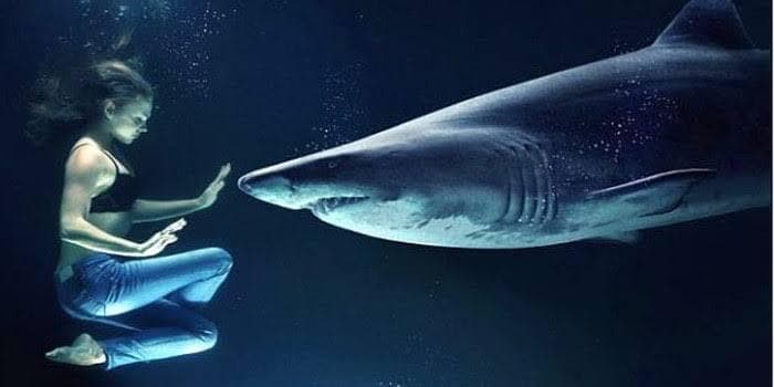 Su Altı Fobisi: Talassofomi