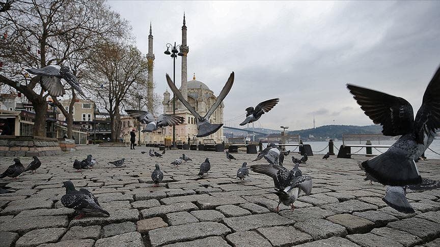 Milli Piyango'yu Kazandıran Sır