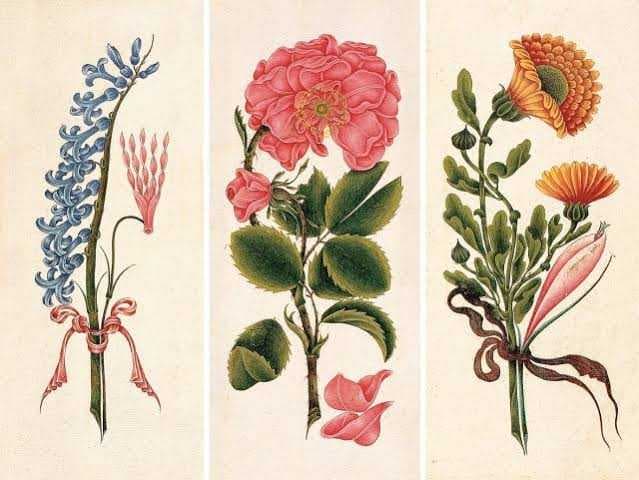 Divan Şiirinde Bitkiler ve Çiçeklerin Anlamları