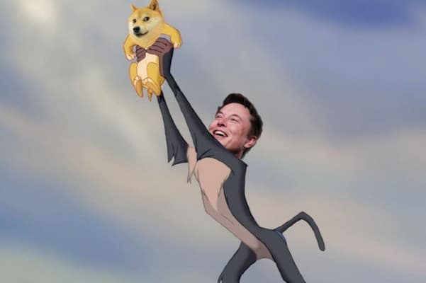 Kripto Para Birimleri Piyasa Değerlerinin %62'sinden Fazlasını Kaybetti. Ama Elon Musk Hala Satın Alıyor!