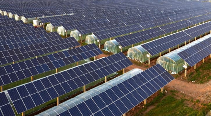 Seralardaki Şeffaf Güneş Panelleri, Çiftçilerin Karbon Ayak İzlerini Azaltmasına Yardımcı Olabilir