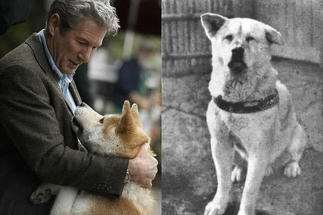 Sevgisi ve Sadık Olmasıyla İnsanlara Büyük Ders Veren, Dünyanın En Vefalı Hayvanı "Hachiko"