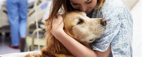 Hastalıklarımızın İyileşmesinde Evcil Hayvanların Gücü