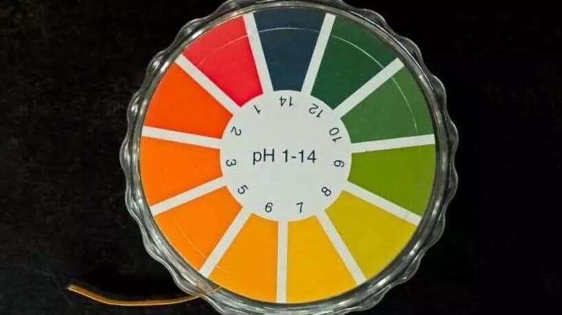 PH Mucizesi: Kilo Verememe İle Kanserin Ardındaki Gizli Gerçek