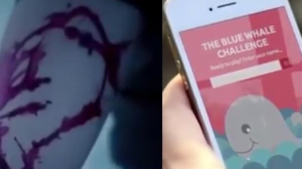 İntihar Oyunu: MAVİ BALİNA