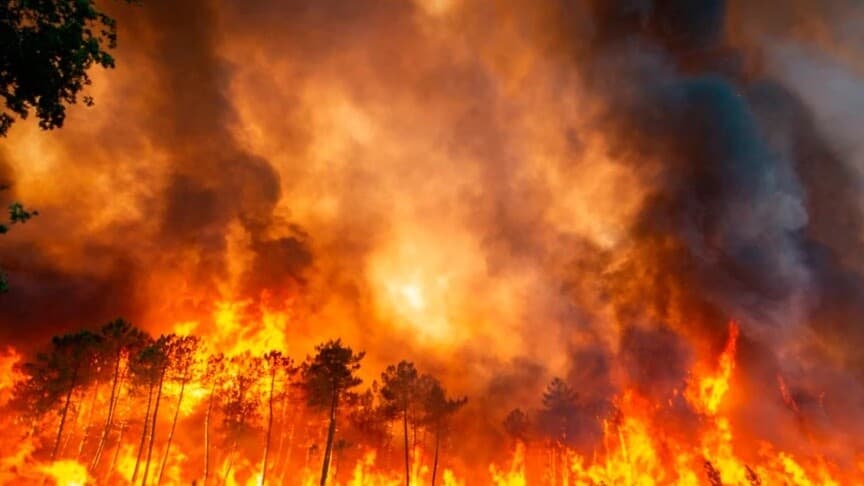 İtalya, Çin ve Google Haritalar'da Orman Yangınlarını Önlemek İçin Yeni Bir İzleme Sistemi