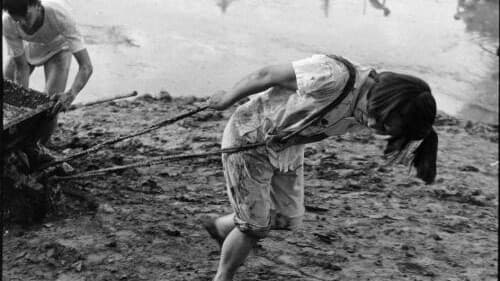 Milyonlarca İnsanın Ölümüne Sebep Olan Felaket: Büyük İleri Atılım