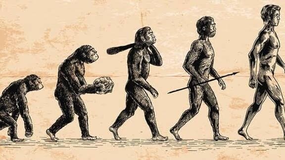 Bilim İnsanları, 7 Milyon Yıl Önce İki Ayak Üzerinde Yürüyen Antik İnsan Atasını Buldu