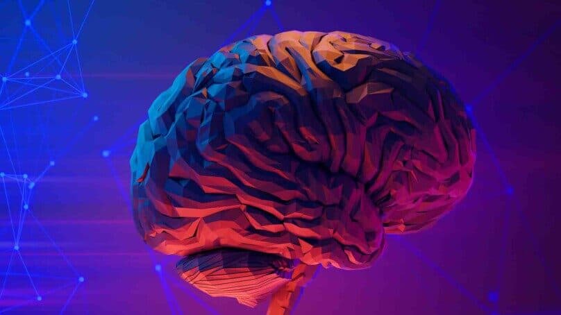 Müzik, Beyni Öğrenmeye Motive Edebilir Mi Sizler İçin Araştırdık