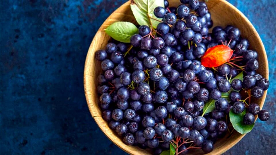 'Süper Meyve' Olarak Biliniyor: Aronya Meyvesi Nedir, Nasıl Yenir?