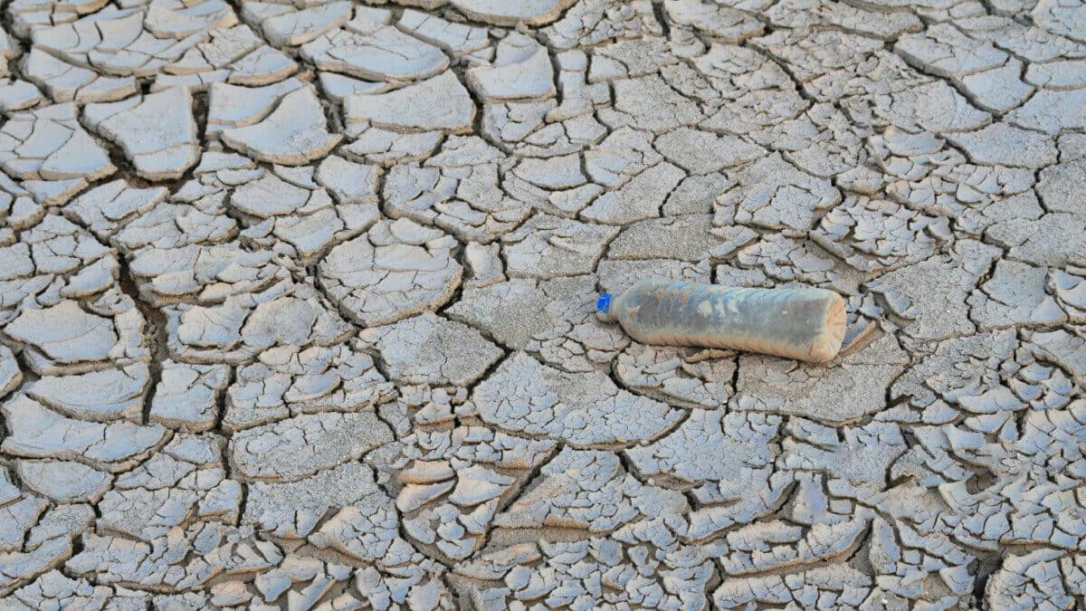 Doğaya Yapılan Kötülük | Toprak Degradasyonu