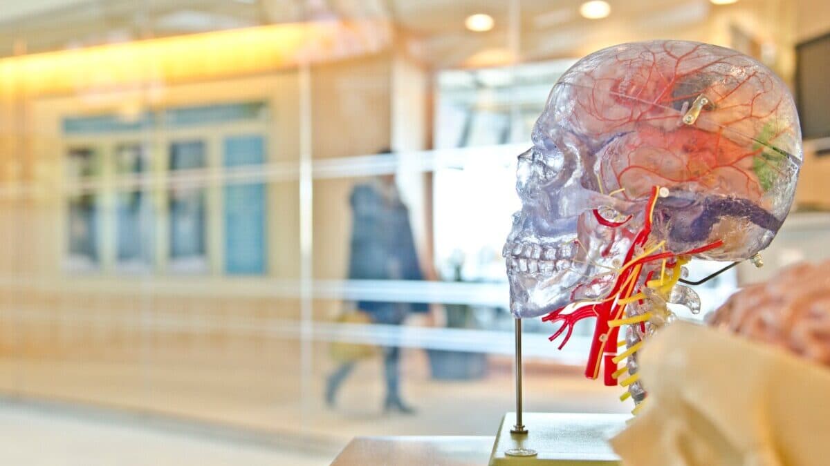 Hücresel Bellek: Yapı Taşlarımızın Hafızası Var mı?