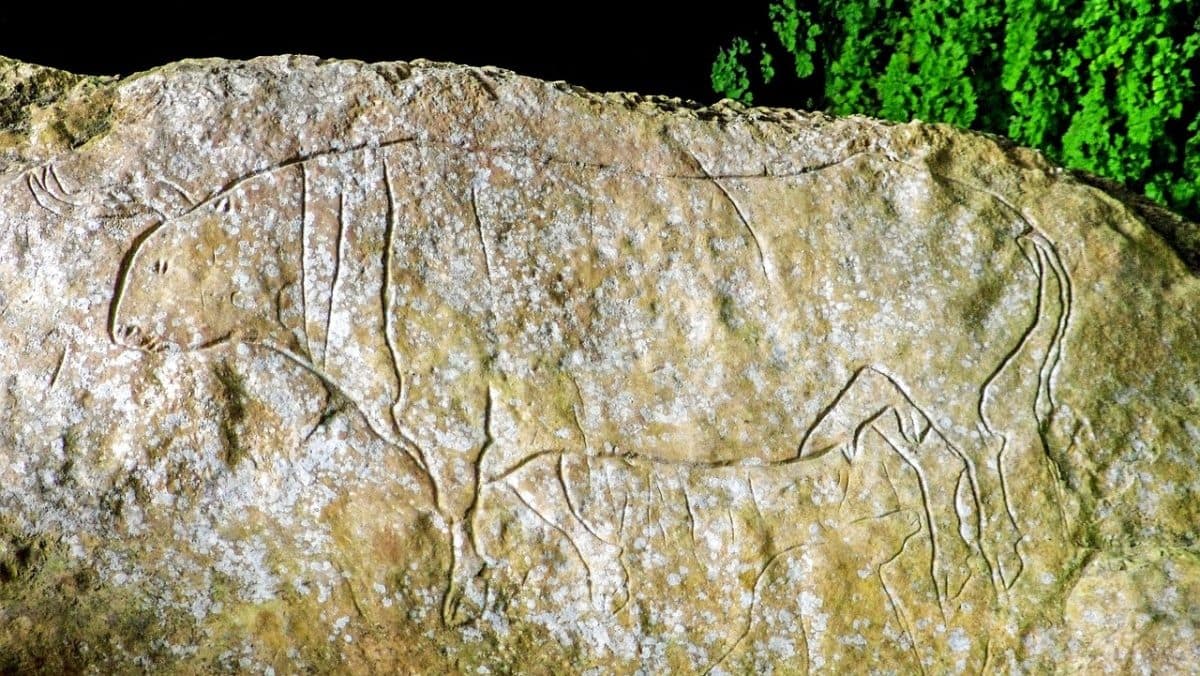 İnsanlığın Sahneye Çıktığı Dönem: Paleolitik Dönem